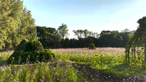 lush greenery and flowers in tranquil setting