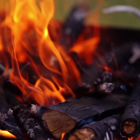 black logs in fire. wood burning in bright fire flame. motion of orange flame over the wooden logs. slow motion.