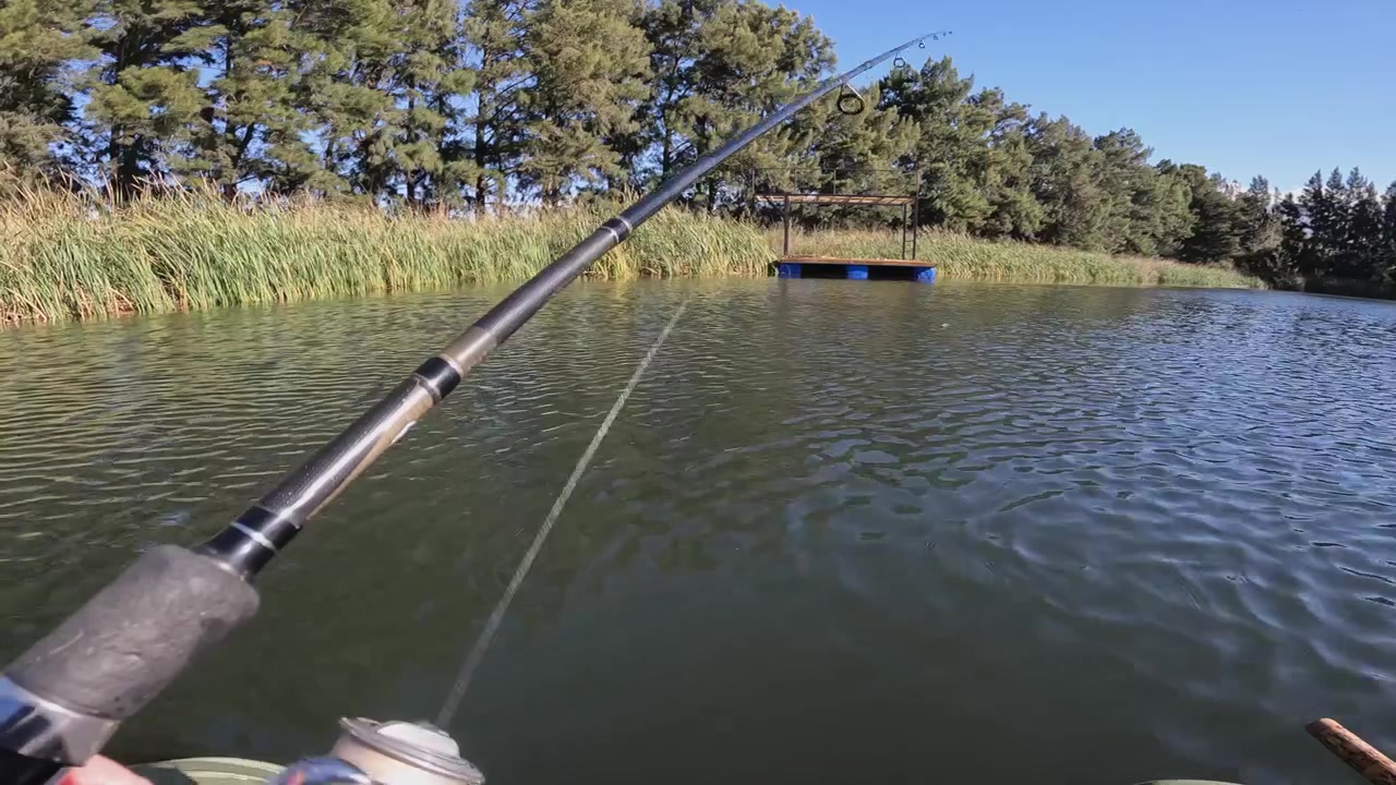 POV: Fisherman reels in fishing line, fishing in pond on sunny day