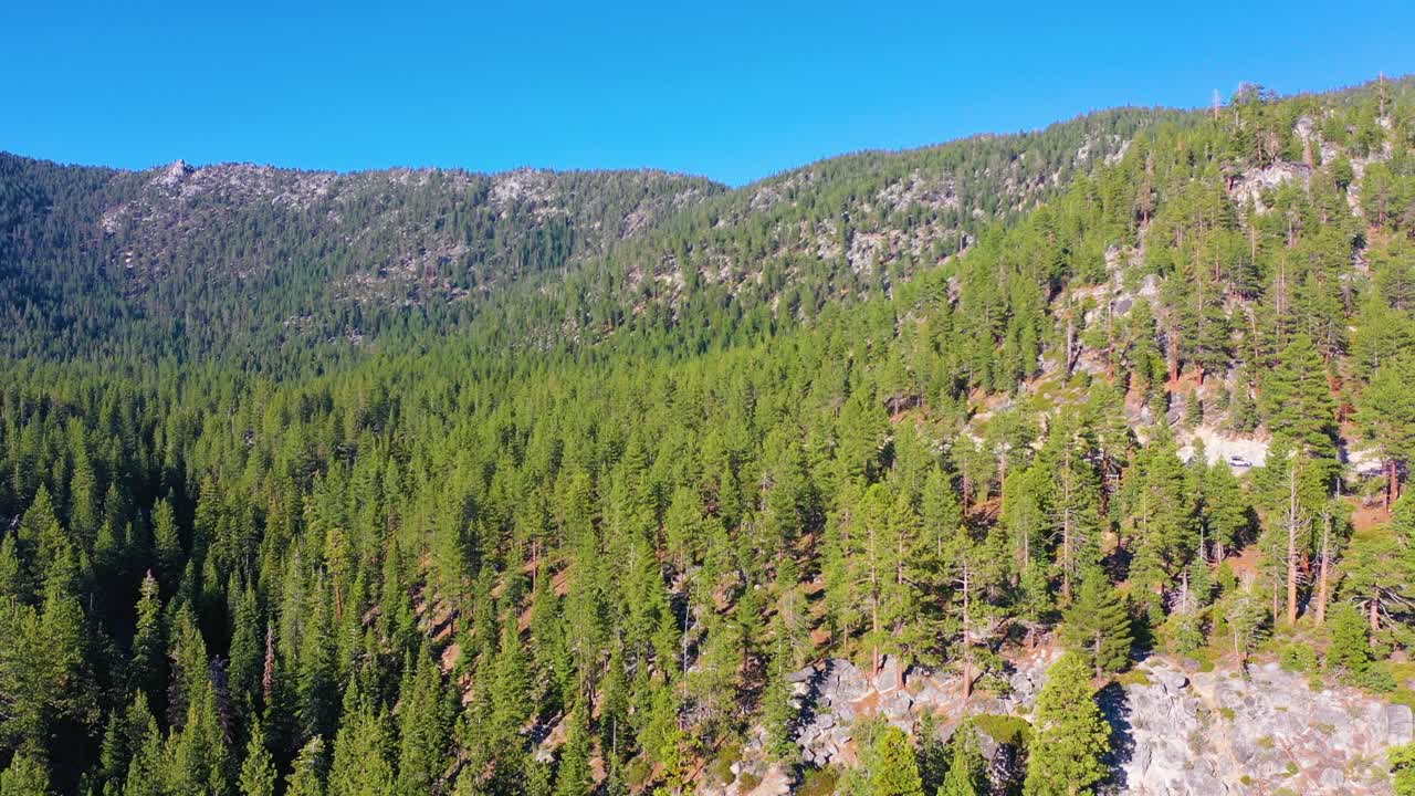 drones aéreos que descienden a través del espeso bosque de pinos jeffrey y la cordillera durante el verano con autos conduciendo por la carretera a través del valle en las montañas siera nevada