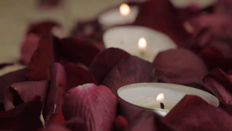 tea light candles burning on a bed of red rose petals