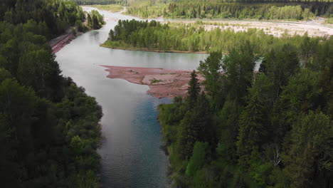 aerial shot of a river running through a conifer forest, camera looks down capturing tree tops and water flowing down stream