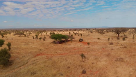 the savanna at tsavo west, near the lions bluff lodge, kenya