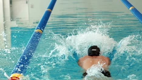 hombre en forma nadando en la piscina