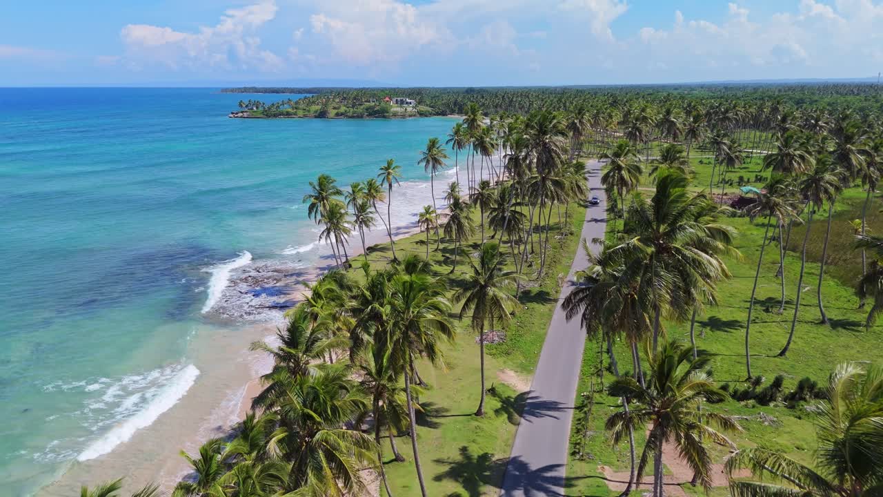 Aerial View of Tropical Beach with Palm Trees and Road