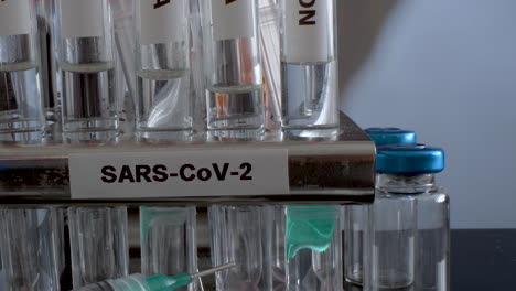 test tubes labelled alpha gamma delta beta and omicron variants in rack with syringes and empty vial bottles