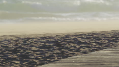 windy beach at sunset