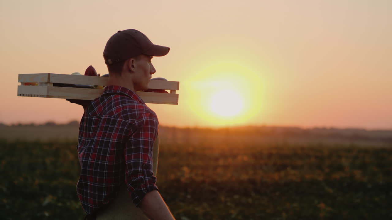 un joven agricultor lleva una caja con verduras y especias pasa por su campo 4k video