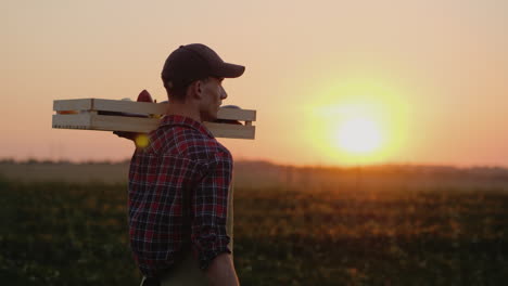 Un-Joven-Agricultor-Lleva-Una-Caja-Con-Verduras-Y-Especias-Por-Su-Campo-Video-4k