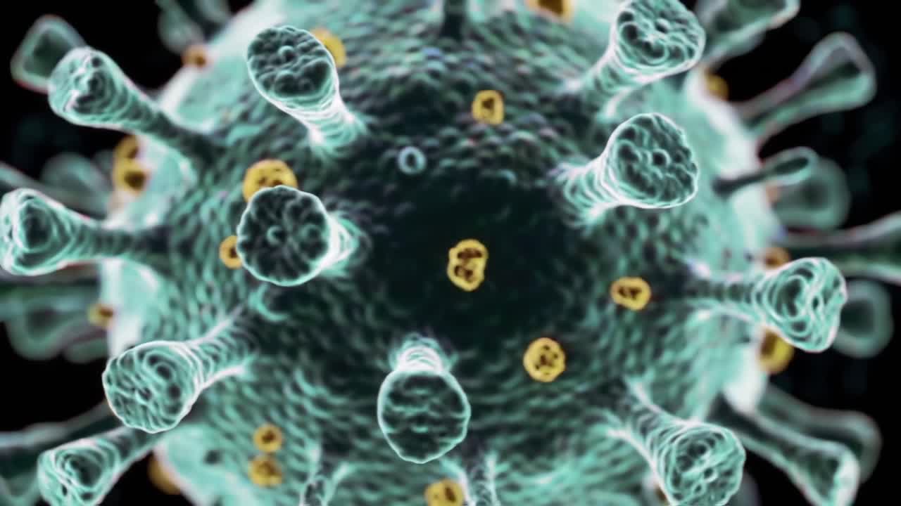 A Detailed Visualization of a Virus Structure, Capturing Its Intricate Features and Biological Importance through Stunning Close-Up Frames