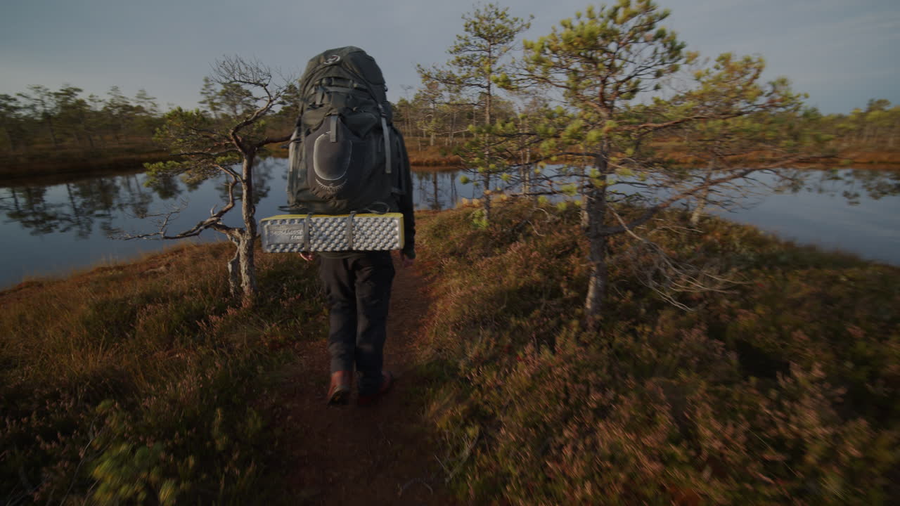 Moving shot of man with backpack walking down the pathway, stepping on to the trail in the swamp.