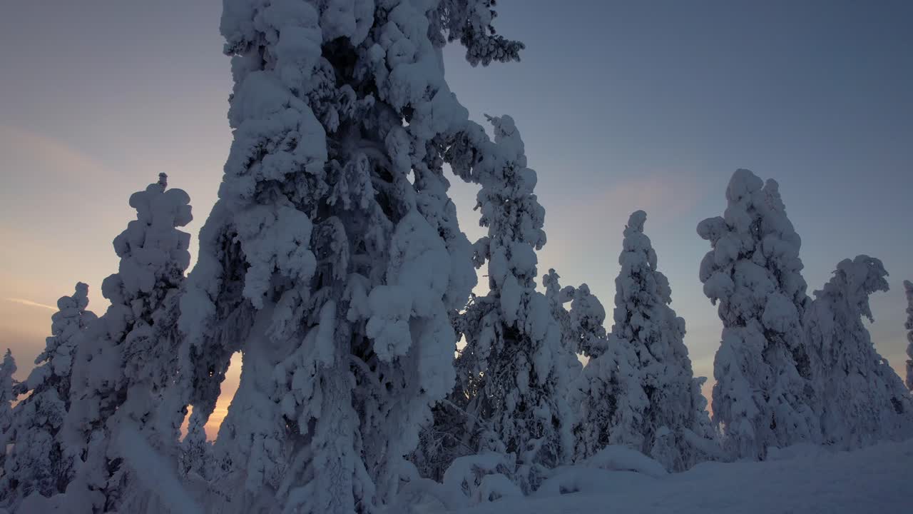 Drone navigoi lumisen metsän läpi Lapissa, Suomessa, napapiirillä
