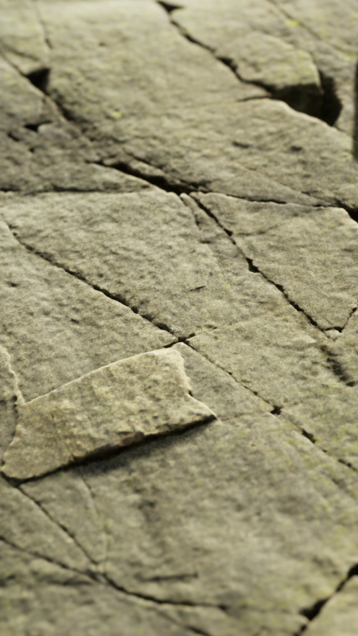 Close view of a rock surface showing lines and patterns in detail