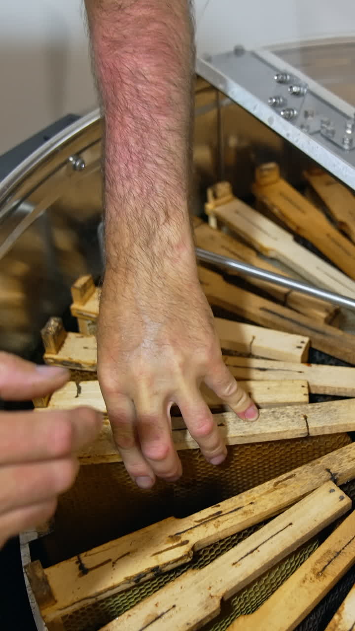 Beekeeper extracting honey from honeycomb frames
