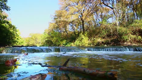 über-Einem-Bunten-Wasserabschnitt-Und-In-Der-Nähe-Eines-Treibholzstücks-Positioniert