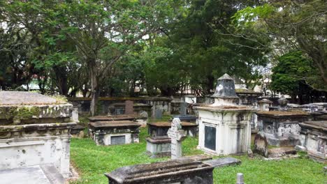 cemetery full of tombstones and graves covered in vegetation and moss