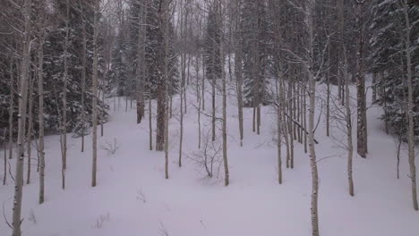snowy blizzard cold powder winter aspen forest snowmass pitkin county wilderness aerial drone rocky mountains colorado basalt carbondale sopris maroon bells ashcroft slowly backward motion