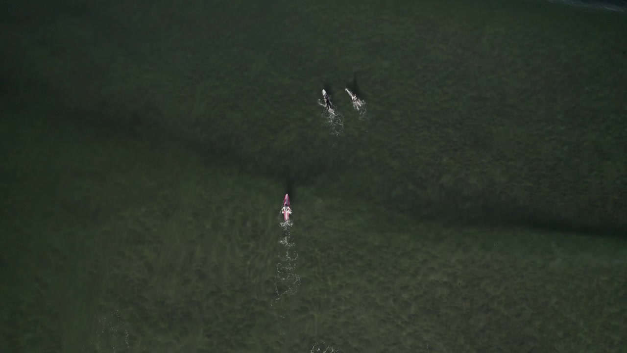 Aereo - Surfisti sdraiati su tavole bianche che remano verso il largo con scie di scia su un mare verde scuro.