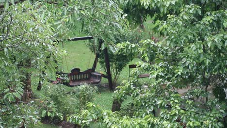 Toma-Ampliada-De-Hojas-De-árboles-Goteando-Con-Gotas-De-Lluvia-Después-De-Una-Tormenta-En-Tailandia