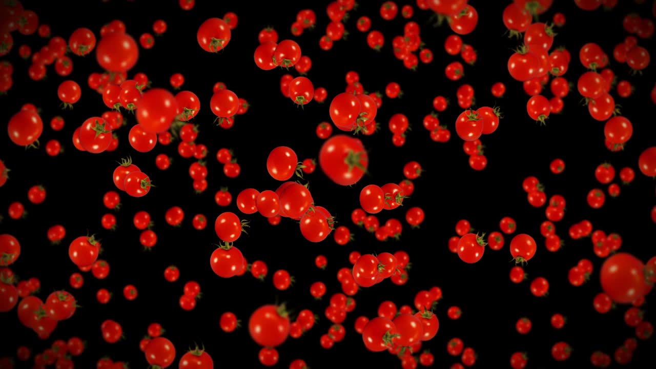 검은색 바탕에 많은 신선한 토마토를 날아. 유기 채소. 익은 맛있는 체리 토마토. 토마토 회전의 3d 루프 애니메이션.