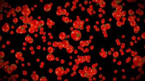 volando muchos tomates frescos en fondo negro. verduras orgánicas. tomates de cereza maduros y jugosos. animación de bucle 3d de tomate girando.