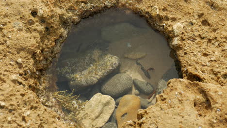 tranquila piscina de roca con bordes de piedra caliza naranja