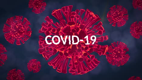 animación del texto de covid 19 sobre las células rojas del coronavirus flotando sobre un fondo azul