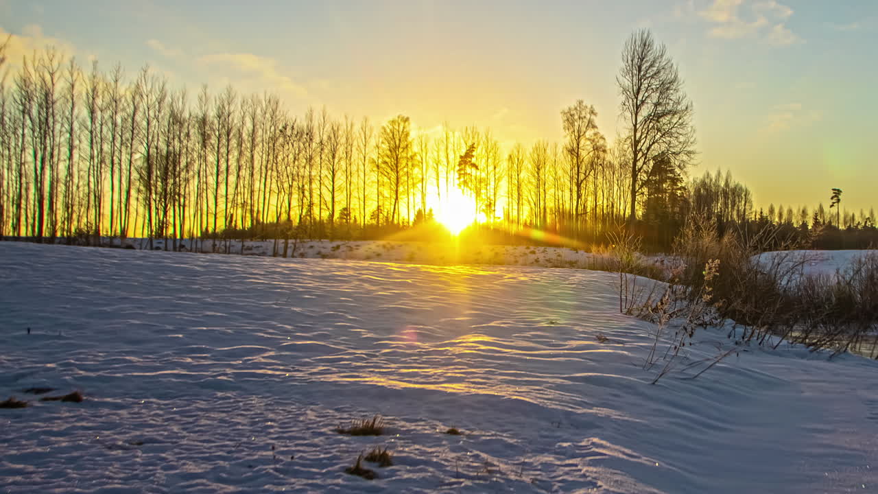 광야에서 눈 덮인 겨울날 잎이 없는 나무 뒤에 일몰 - 저속 촬영