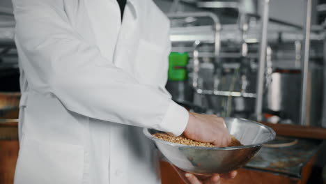 trabajador de la cervecería que maneja granos