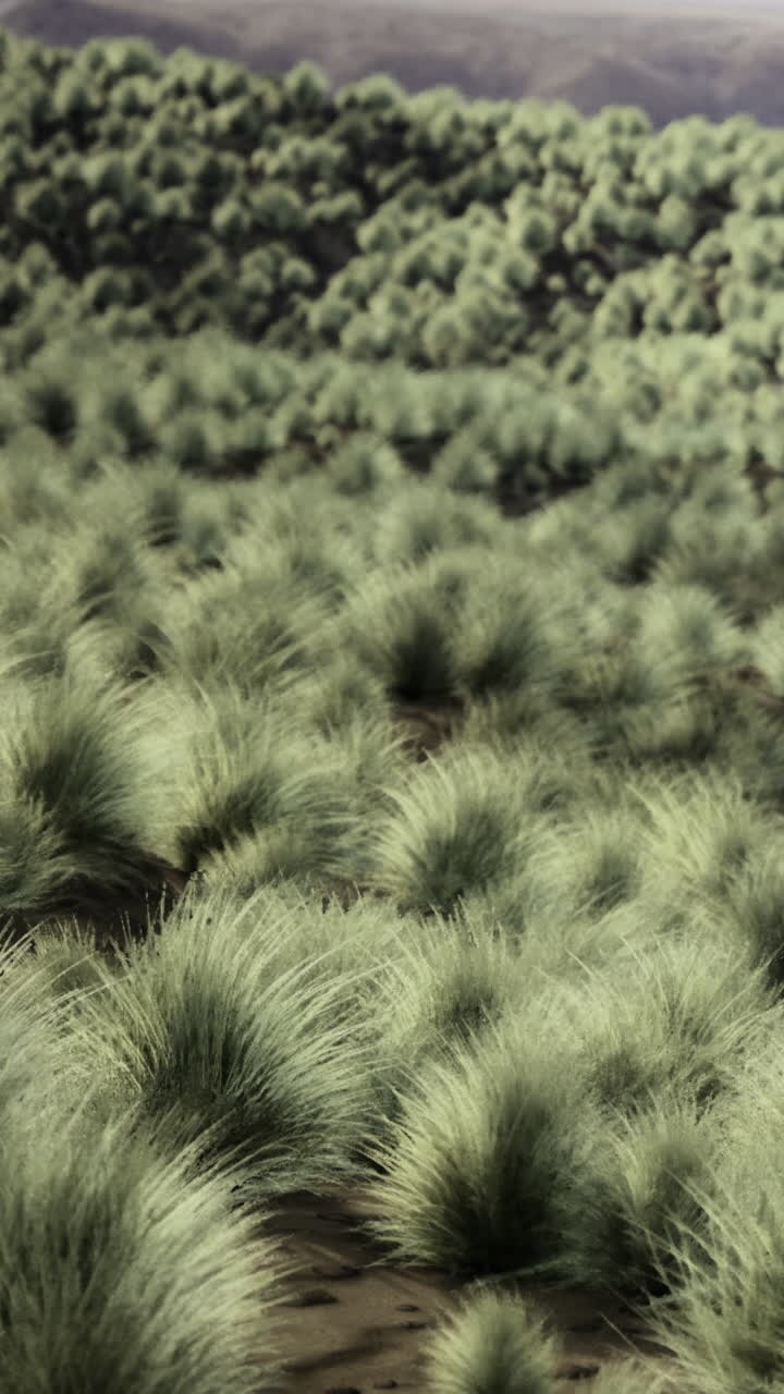 Erba verde lussureggiante che copre dolci colline sotto un cielo azzurro e limpido