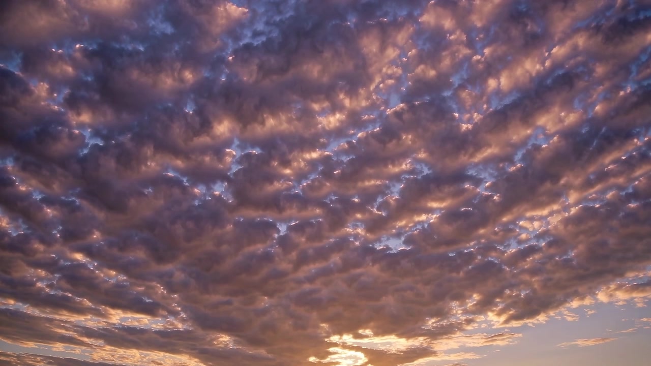 Golden Sunset With Dramatic Altocumulus Clouds