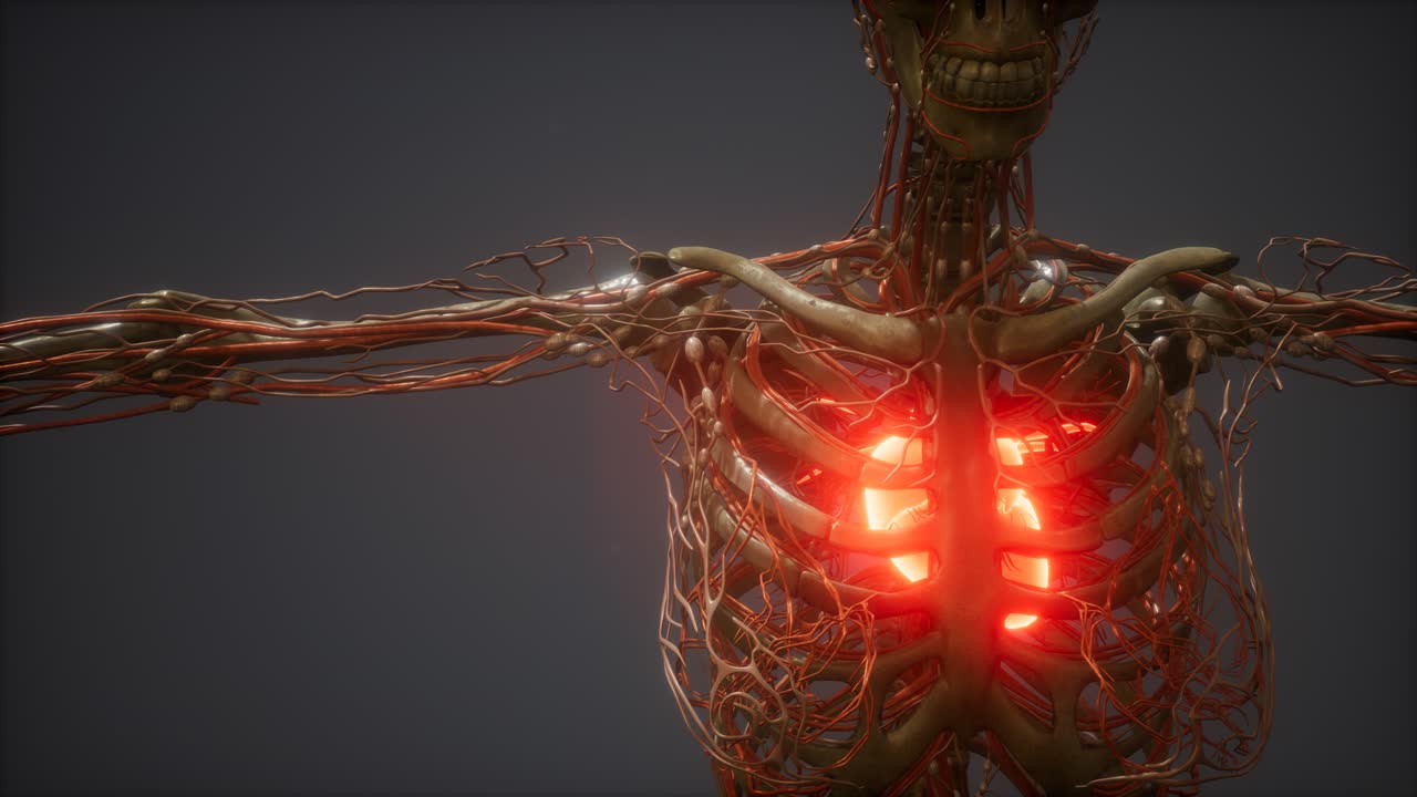 animación cg de un corazón humano enfermo