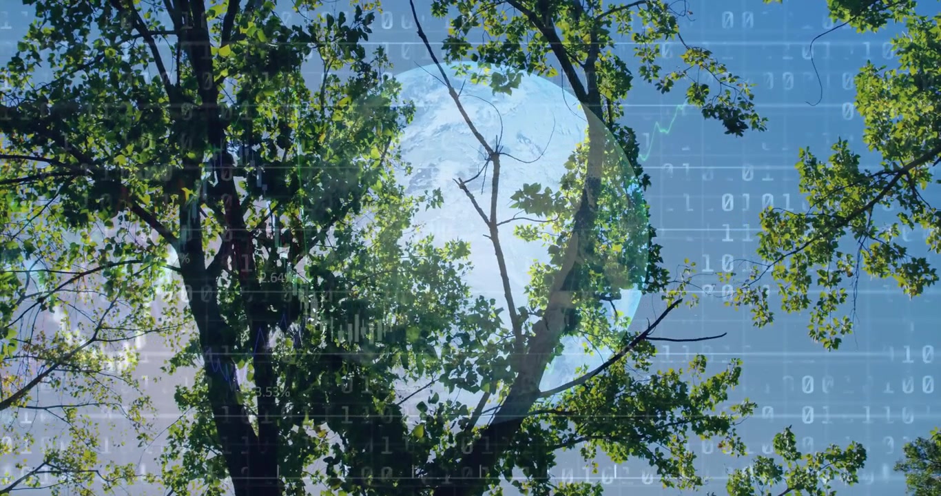 Tree trunk rising in forest, showing globe overlay with binary code highlighting technology