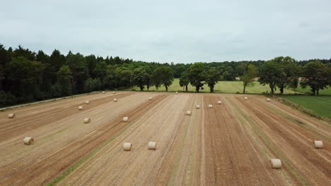 Bewegte-Drohnenaufnahmen-Ernteten-Leeres-Weizenfeld-Mit-Wald-Im-Hintergrund-4k