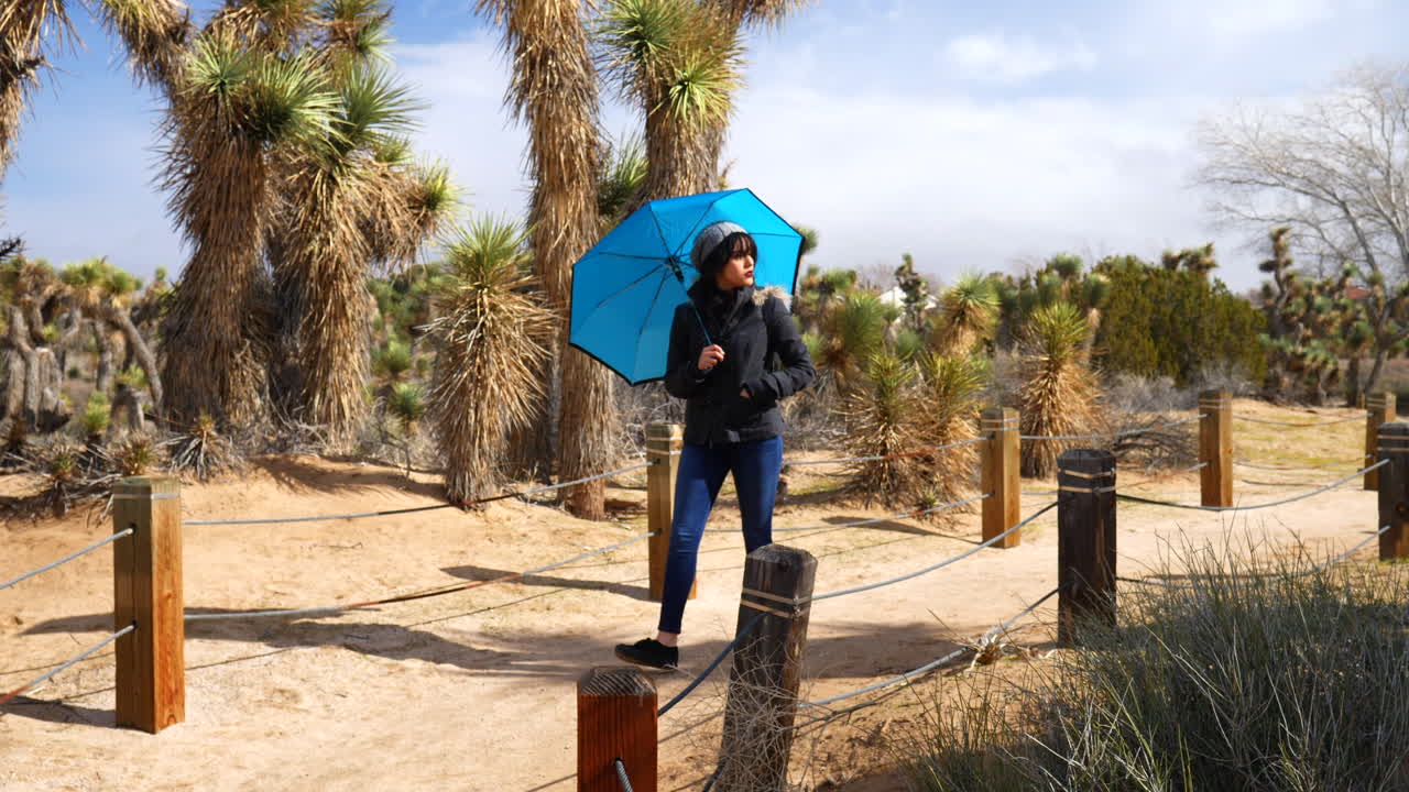 mujer joven y guapa con un paraguas de lluvia azul caminando por el desierto con árboles de joshua en un paseo por la naturaleza en cámara lenta