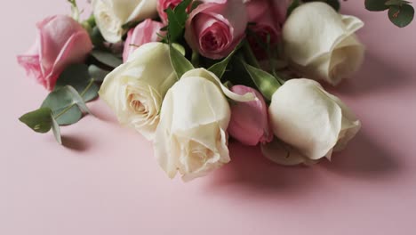 Video-of-bunch-of-white-and-pink-roses-and-copy-space-on-pink-background