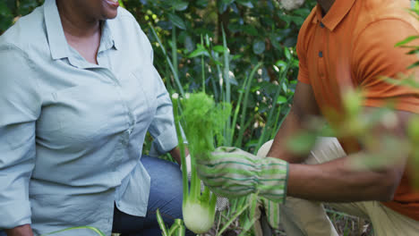 una pareja de ancianos afroamericanos con guantes de mano jardinando juntos en el jardín