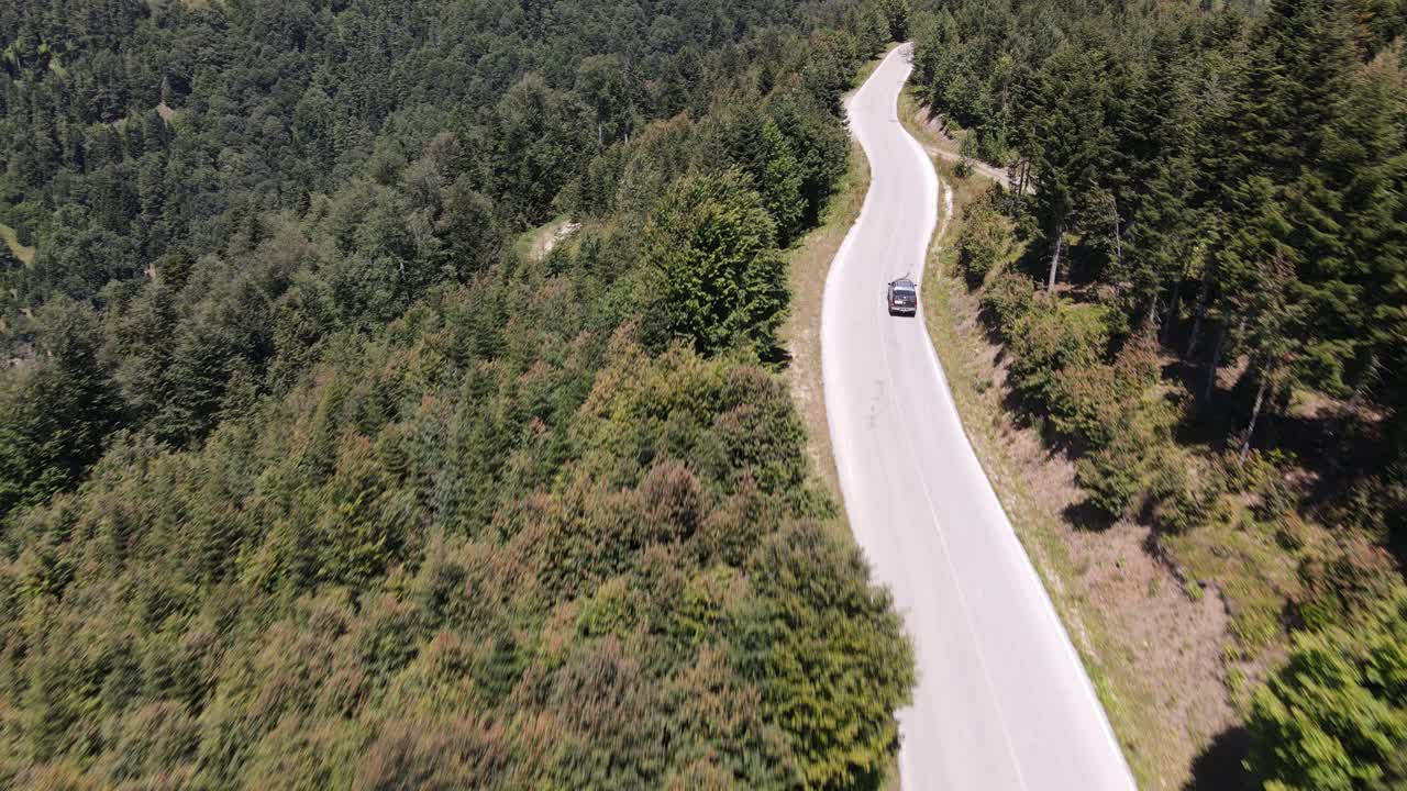 조감도 운전 자동차 숲 1