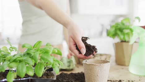 Mujer-Caucásica-Preparando-Una-Olla-De-Papel-Para-La-Planta-De-Albahaca-En-La-Mesa-De-La-Cocina.