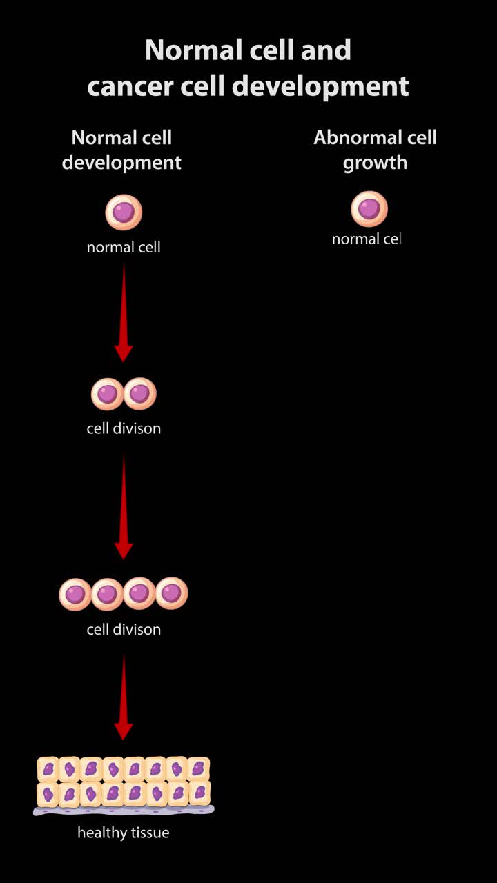 Diagramma animato che mette a confronto la divisione cellulare sana con la crescita anomala del cancro su sfondo nero