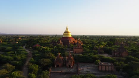 flying over the beautiful bright golden dhammayazika pagoda surrounded with lush, green trees in myanmar - aerial shot