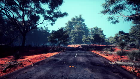 Clean-rural-Road-with-trees