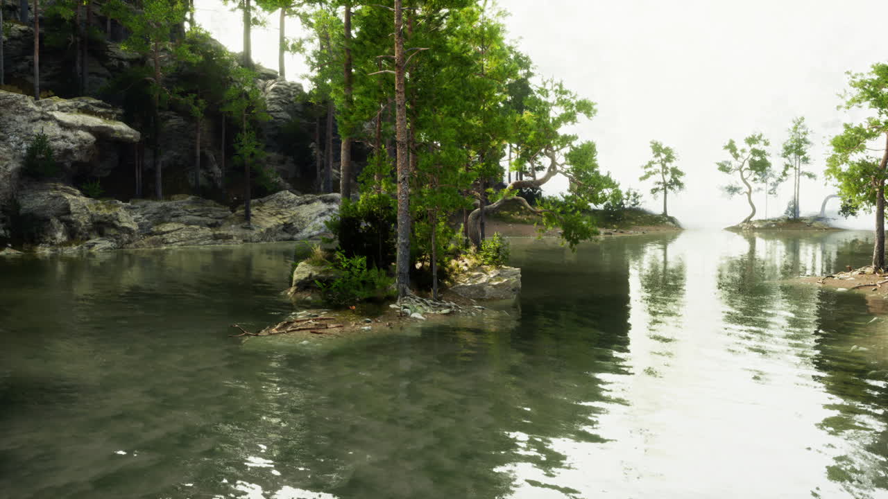 평화로운 숲 호수 풍경