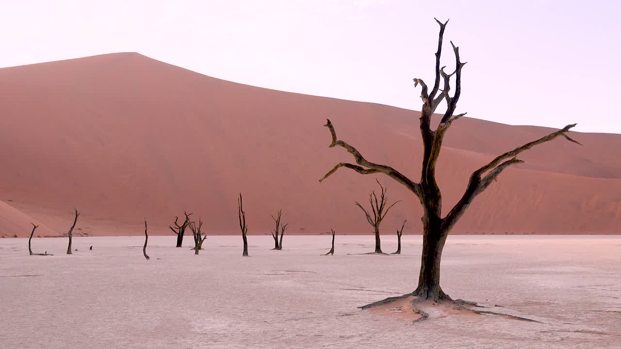 asombrosos árboles muertos silueteados al amanecer en deadvlei y sossusvlei en namib naukluft national park desierto de namib namibia 3