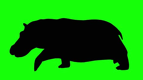 a silhouette of a hippo running on green screen, side view