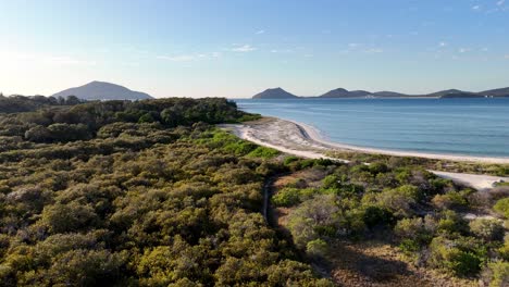 a-mountain-with-a-body-of-water-in-the-background-and-trees-in-the-foreground,-and-a-body-of-water-in-the-foreground