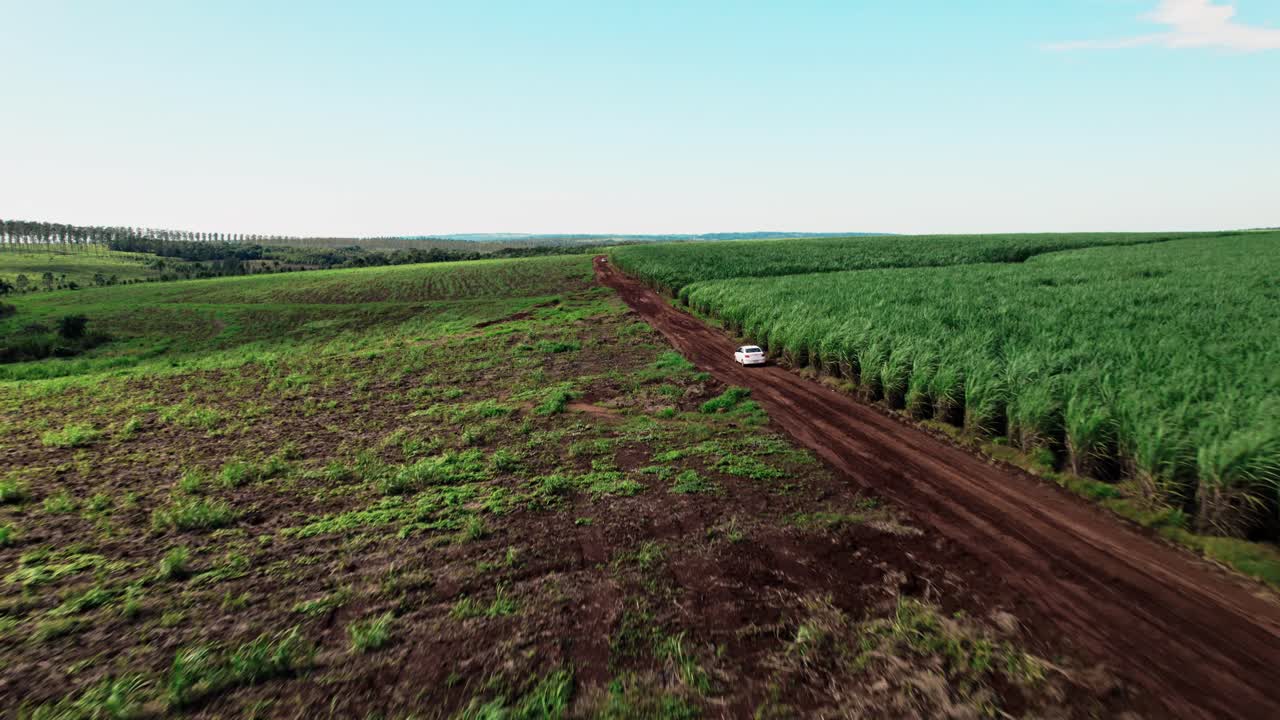 High-angle view of a white vehicle traveling on a rugged dirt road running alongside tall, vibrant green sugar cane crops and open fields in rural Paraguay