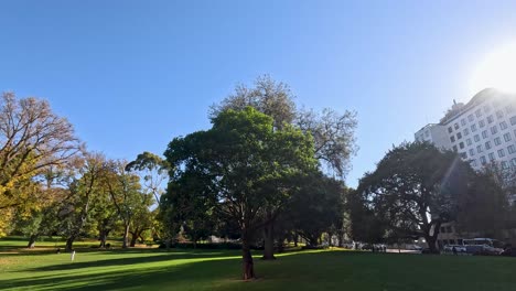 trees and grass under a clear blue sky