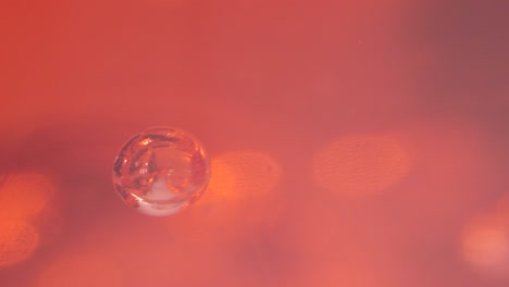 macro view of blood cell in forensics laboratory, static view