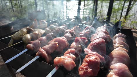 grilled meat skewers cooking on a grill by a lake